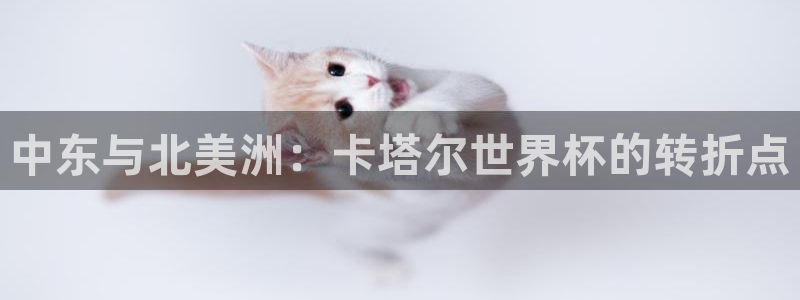 世界杯足球2026:中东与北美洲:卡塔尔世界杯的转折点