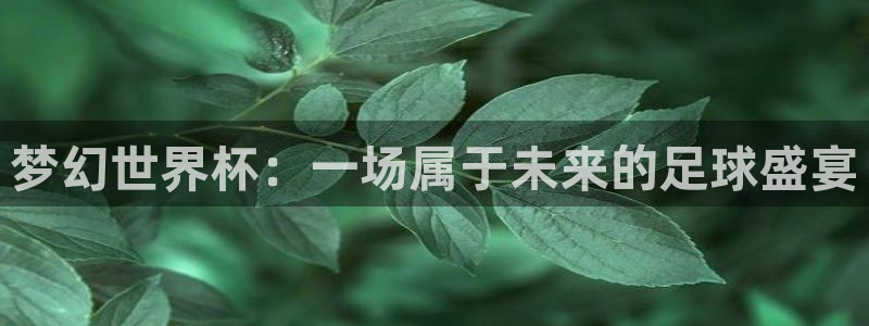 世界杯第一场比赛:梦幻世界杯:一场属于未来的足球盛宴