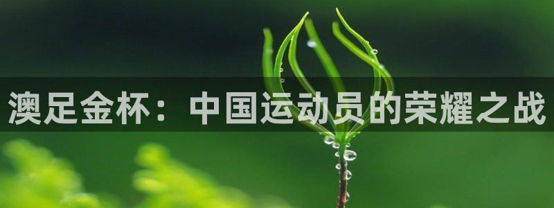 世界杯球队:澳足金杯:中国运动员的荣耀之战