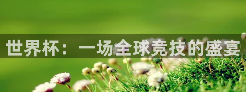 2026年世界杯直播平台:世界杯:一场全球竞技的盛宴